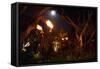 Torches of Hawaii-George Oze-Framed Stretched Canvas