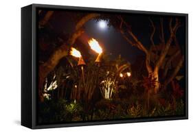 Torches of Hawaii-George Oze-Framed Stretched Canvas