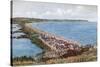 Torcross and Slapton Sands-Alfred Robert Quinton-Stretched Canvas