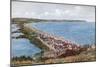 Torcross and Slapton Sands-Alfred Robert Quinton-Mounted Premium Giclee Print