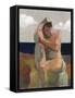 Framed Canvas