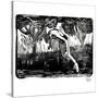 Stretched Canvas