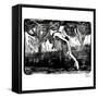 Canvas Black