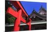 Tori Gate, Terukuni Shrine, Kagoshima City, Kyushu Island, Japan, Asia-Richard Cummins-Mounted Photographic Print