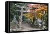 Torii Gate and Steps of Daisho-In Temple in Autumn, Miyajima Island, Western Honshu, Japan-Stuart Black-Framed Stretched Canvas