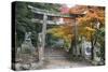 Torii Gate and Steps of Daisho-In Temple in Autumn, Miyajima Island, Western Honshu, Japan-Stuart Black-Stretched Canvas