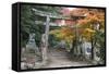 Torii Gate and Steps of Daisho-In Temple in Autumn, Miyajima Island, Western Honshu, Japan-Stuart Black-Framed Stretched Canvas