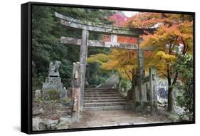 Torii Gate and Steps of Daisho-In Temple in Autumn, Miyajima Island, Western Honshu, Japan-Stuart Black-Framed Stretched Canvas