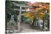 Torii Gate and Steps of Daisho-In Temple in Autumn, Miyajima Island, Western Honshu, Japan-Stuart Black-Stretched Canvas