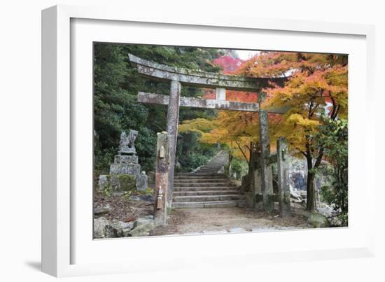 Torii Gate and Steps of Daisho-In Temple in Autumn, Miyajima Island, Western Honshu, Japan-Stuart Black-Framed Photographic Print