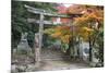 Torii Gate and Steps of Daisho-In Temple in Autumn, Miyajima Island, Western Honshu, Japan-Stuart Black-Mounted Photographic Print