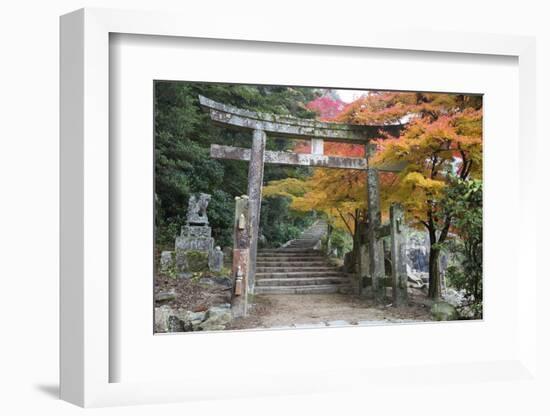 Torii Gate and Steps of Daisho-In Temple in Autumn, Miyajima Island, Western Honshu, Japan-Stuart Black-Framed Photographic Print