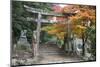 Torii Gate and Steps of Daisho-In Temple in Autumn, Miyajima Island, Western Honshu, Japan-Stuart Black-Mounted Photographic Print