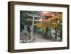 Torii Gate and Steps of Daisho-In Temple in Autumn, Miyajima Island, Western Honshu, Japan-Stuart Black-Framed Premium Photographic Print