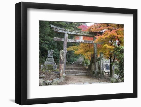 Torii Gate and Steps of Daisho-In Temple in Autumn, Miyajima Island, Western Honshu, Japan-Stuart Black-Framed Premium Photographic Print