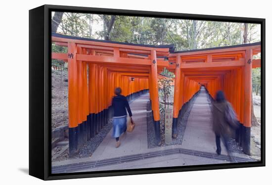 Torii Gate at Fushimi Inari Jinja, Shinto Shrine, Kyoto, Honshu, Japan, Asia-Christian Kober-Framed Stretched Canvas