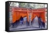 Torii Gate at Fushimi Inari Jinja, Shinto Shrine, Kyoto, Honshu, Japan, Asia-Christian Kober-Framed Stretched Canvas