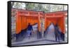 Torii Gate at Fushimi Inari Jinja, Shinto Shrine, Kyoto, Honshu, Japan, Asia-Christian Kober-Framed Stretched Canvas