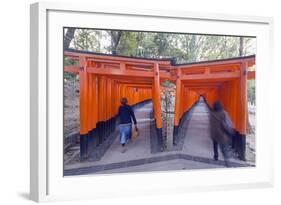 Torii Gate at Fushimi Inari Jinja, Shinto Shrine, Kyoto, Honshu, Japan, Asia-Christian Kober-Framed Photographic Print