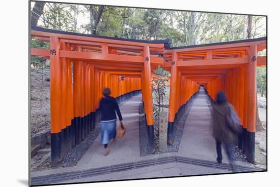 Torii Gate at Fushimi Inari Jinja, Shinto Shrine, Kyoto, Honshu, Japan, Asia-Christian Kober-Mounted Photographic Print
