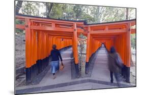Torii Gate at Fushimi Inari Jinja, Shinto Shrine, Kyoto, Honshu, Japan, Asia-Christian Kober-Mounted Photographic Print