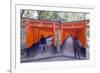 Torii Gate at Fushimi Inari Jinja, Shinto Shrine, Kyoto, Honshu, Japan, Asia-Christian Kober-Framed Photographic Print