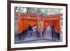 Torii Gate at Fushimi Inari Jinja, Shinto Shrine, Kyoto, Honshu, Japan, Asia-Christian Kober-Framed Photographic Print