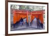 Torii Gate at Fushimi Inari Jinja, Shinto Shrine, Kyoto, Honshu, Japan, Asia-Christian Kober-Framed Photographic Print