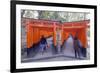 Torii Gate at Fushimi Inari Jinja, Shinto Shrine, Kyoto, Honshu, Japan, Asia-Christian Kober-Framed Photographic Print