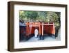 Torii Gate at Fushimi Inari Jinja, Shinto Shrine, Kyoto, Honshu, Japan, Asia-Christian Kober-Framed Photographic Print