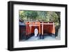 Torii Gate at Fushimi Inari Jinja, Shinto Shrine, Kyoto, Honshu, Japan, Asia-Christian Kober-Framed Photographic Print