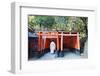 Torii Gate at Fushimi Inari Jinja, Shinto Shrine, Kyoto, Honshu, Japan, Asia-Christian Kober-Framed Photographic Print