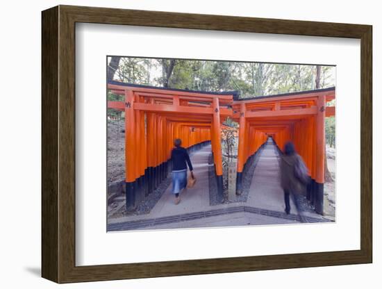 Torii Gate at Fushimi Inari Jinja, Shinto Shrine, Kyoto, Honshu, Japan, Asia-Christian Kober-Framed Photographic Print