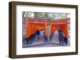 Torii Gate at Fushimi Inari Jinja, Shinto Shrine, Kyoto, Honshu, Japan, Asia-Christian Kober-Framed Photographic Print