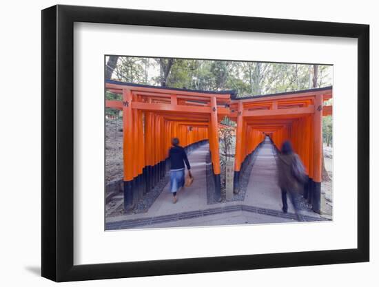 Torii Gate at Fushimi Inari Jinja, Shinto Shrine, Kyoto, Honshu, Japan, Asia-Christian Kober-Framed Photographic Print