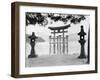 Torii Gate in Water-null-Framed Photographic Print