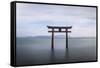 Torii Gate, Lake Biwa, Takashima, Shiga, Japan-Peter Adams-Framed Stretched Canvas