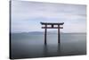 Torii Gate, Lake Biwa, Takashima, Shiga, Japan-Peter Adams-Stretched Canvas