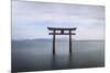 Torii Gate, Lake Biwa, Takashima, Shiga, Japan-Peter Adams-Mounted Photographic Print