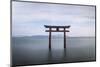 Torii Gate, Lake Biwa, Takashima, Shiga, Japan-Peter Adams-Mounted Photographic Print