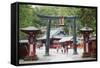 Torii Gate, Nikko Shrine, UNESCO World Heritage Site, Tochigi Prefecture, Honshu, Japan, Asia-Christian Kober-Framed Stretched Canvas