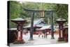 Torii Gate, Nikko Shrine, UNESCO World Heritage Site, Tochigi Prefecture, Honshu, Japan, Asia-Christian Kober-Stretched Canvas