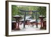 Torii Gate, Nikko Shrine, UNESCO World Heritage Site, Tochigi Prefecture, Honshu, Japan, Asia-Christian Kober-Framed Photographic Print