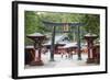 Torii Gate, Nikko Shrine, UNESCO World Heritage Site, Tochigi Prefecture, Honshu, Japan, Asia-Christian Kober-Framed Photographic Print