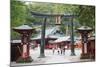 Torii Gate, Nikko Shrine, UNESCO World Heritage Site, Tochigi Prefecture, Honshu, Japan, Asia-Christian Kober-Mounted Photographic Print