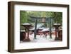 Torii Gate, Nikko Shrine, UNESCO World Heritage Site, Tochigi Prefecture, Honshu, Japan, Asia-Christian Kober-Framed Photographic Print