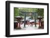 Torii Gate, Nikko Shrine, UNESCO World Heritage Site, Tochigi Prefecture, Honshu, Japan, Asia-Christian Kober-Framed Photographic Print