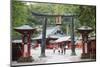 Torii Gate, Nikko Shrine, UNESCO World Heritage Site, Tochigi Prefecture, Honshu, Japan, Asia-Christian Kober-Mounted Photographic Print