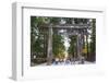 Torii Gate, Nikko Shrine, UNESCO World Heritage Site, Tochigi Prefecture, Honshu, Japan, Asia-Christian Kober-Framed Photographic Print