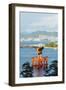 Torii Gate of Itsukushima Jinja Shinto Shrine, Miyajima Island, Hiroshima Prefecture-Christian Kober-Framed Photographic Print